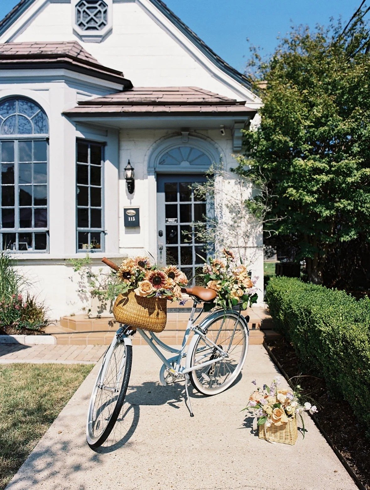 thistle product image